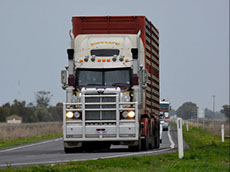 Farm transportation and trucking