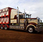 Kenworth Primemovers for Stock Transport