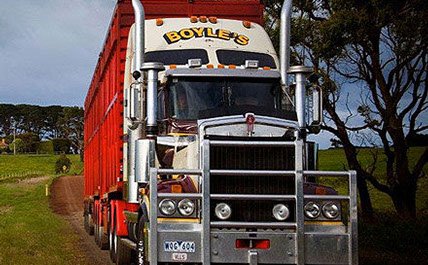 Warrnambool Based Livestock Transport